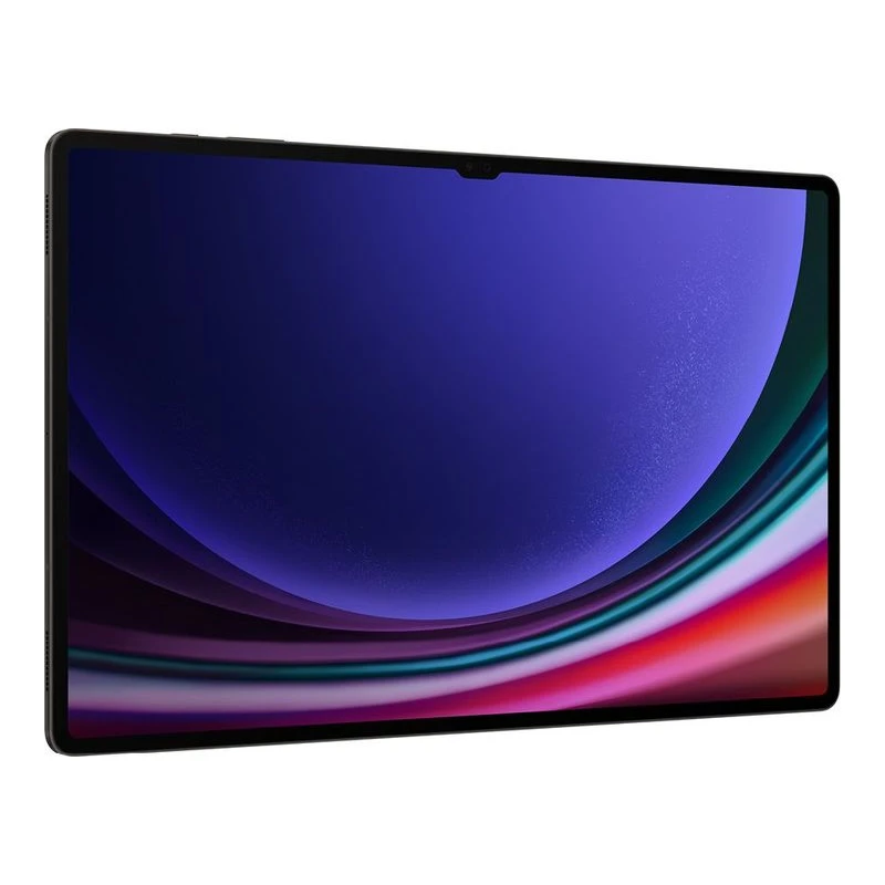 X916 Tab S9 Ultra 12/512 Graphite