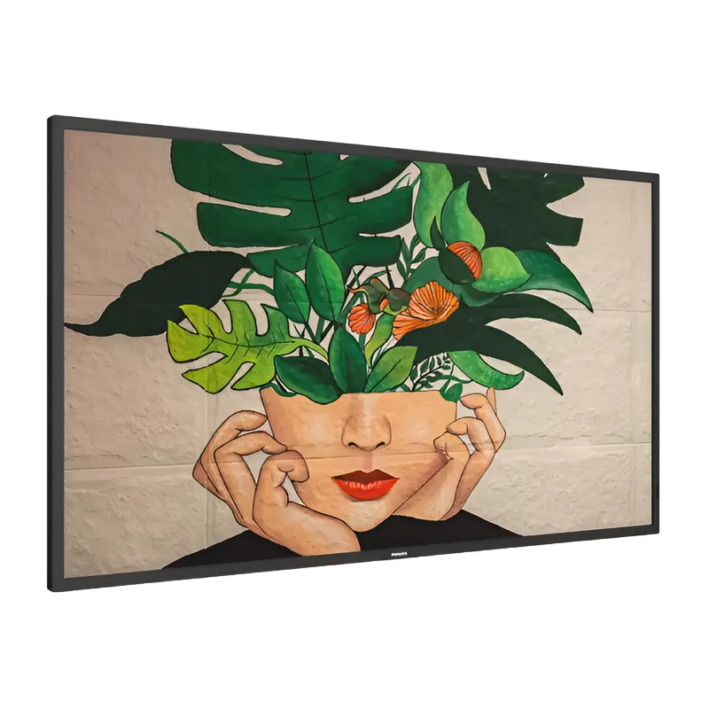 75" Display PHILIPS "75BDL4650D"